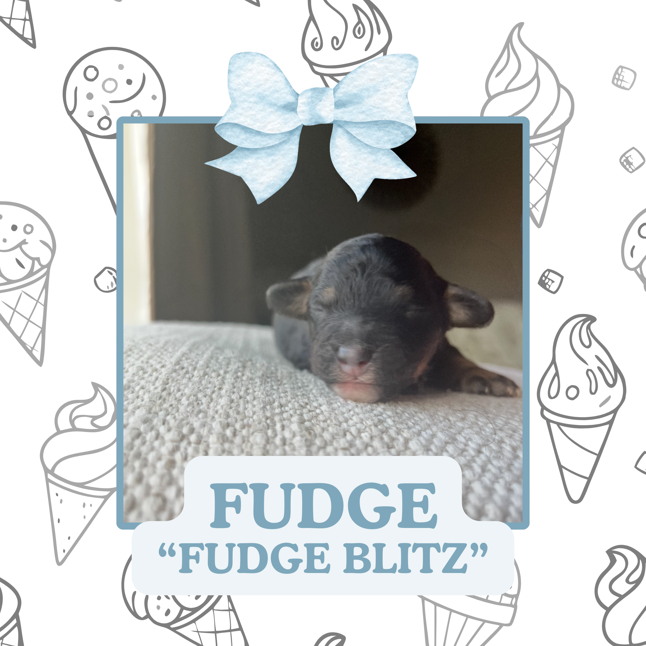 FUDGE BLITZ