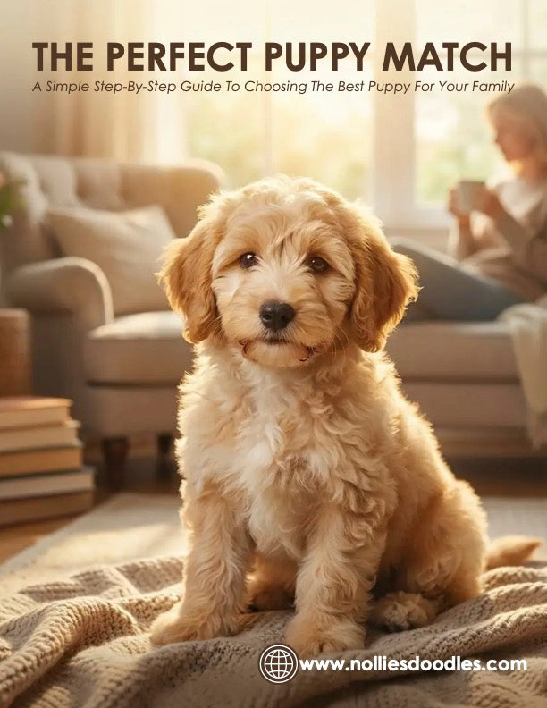 The Perfect Puppy Match Guide